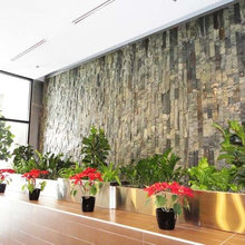 Feature Wall Ideas
