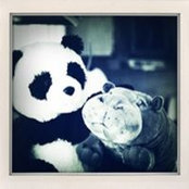 Kevin Rice's photo