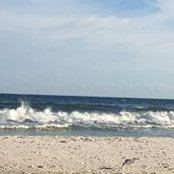 Rikki Branton's photo
