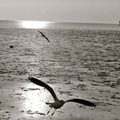 Kenny Kwan's photo
