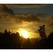 Mindy Koval's photo