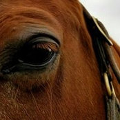 Foto von Judy Weir Nuber