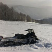 Brandon Hill's photo