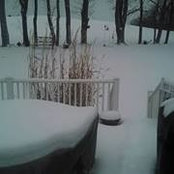 Rosalee Davis's photo