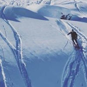 Aaron Gibbs's photo