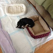 Larry Laney's photo