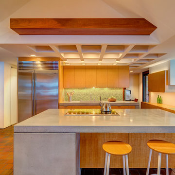 Innovation In Design 2012: Mid-Century Modern Renovation