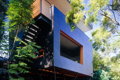 Small contemporary two-storey black exterior in Sydney with wood siding and a flat roof.