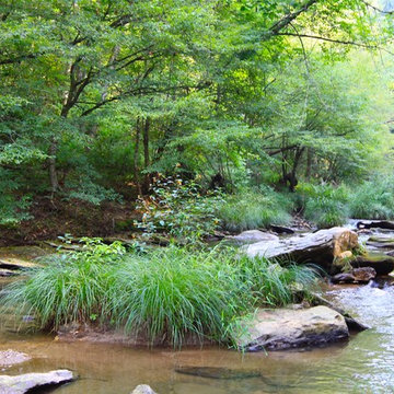 Kingfisher Run- A Retreat on the River