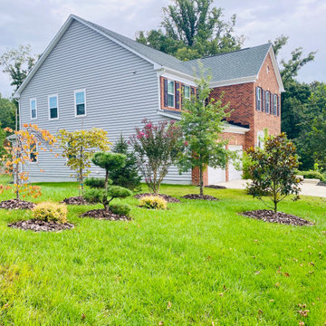 Landscape Design