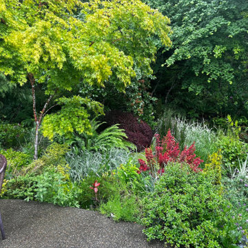 Lovely Vignettes