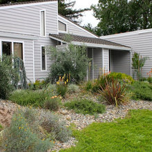Nick's frontyard