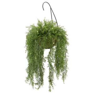 Faux Asparagus Fern Hanging Basket, Water Hyacinth