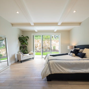 Contemporary Contrast