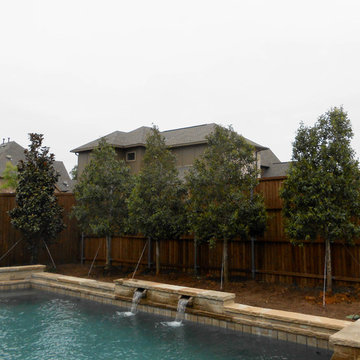 Eagleston Hollies by Pool