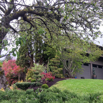 Front Yard Re-Do