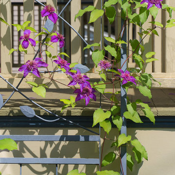Clematis vine climbing up side of front porch