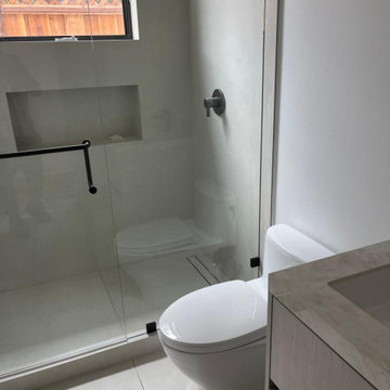 Modern clean and sleek, walk-in shower