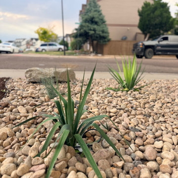 Xeriscape Transformation - Highlands Ranch, CO