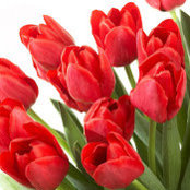 Avi Versha's photo