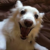 Connie Koska's photo