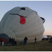 Ann Beauchamp's photo