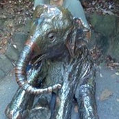 Randall Tami's photo