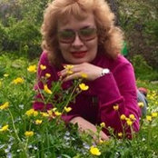 Алла Стороженко's photo
