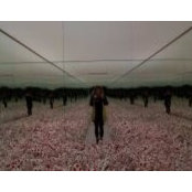 Lindsay Butler's photo