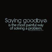 Sandy C's photo