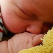 Sue Barlow's photo