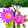 CC Jardins