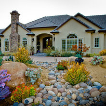 Front yard
