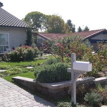 Backyard and pool
