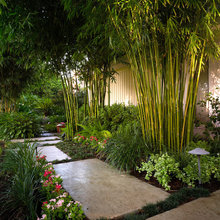 Garden landscape
