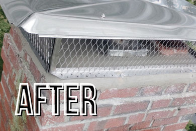 Chimney Replacement