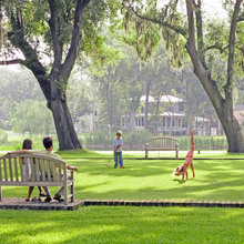 Landscpae+Yard