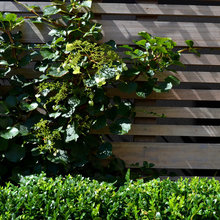 horizontal slat fence