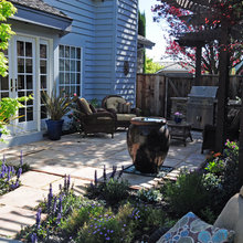 Landscape Ideas