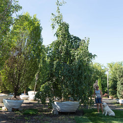 Pontiac Nursery - Products