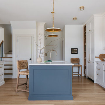 Chicago Renovation