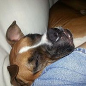 Michele Bailey Brady's photo