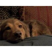 Jane Holubec's photo