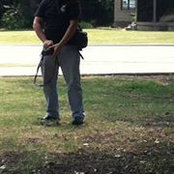 Shane Newsom's photo
