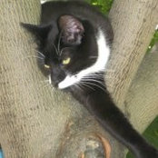 Geni Hartson's photo