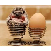 Laura Nippy's photo