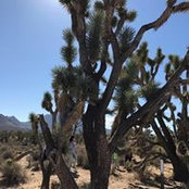 Shannon Meek's photo