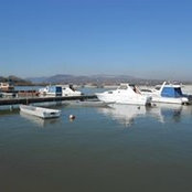 Foto von Dara Petrović