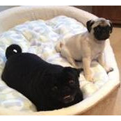 Barbara Newman's photo