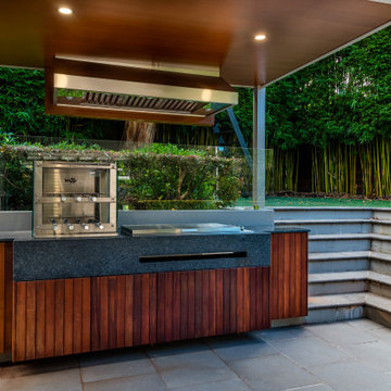 Backyard BBQ and Entertainment Area